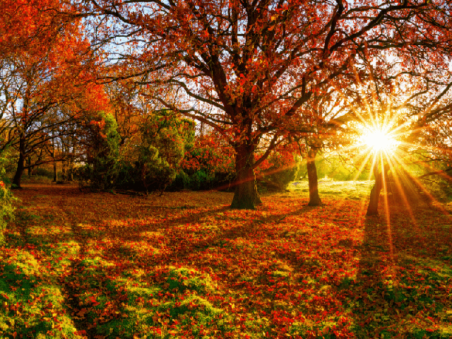 Automne
